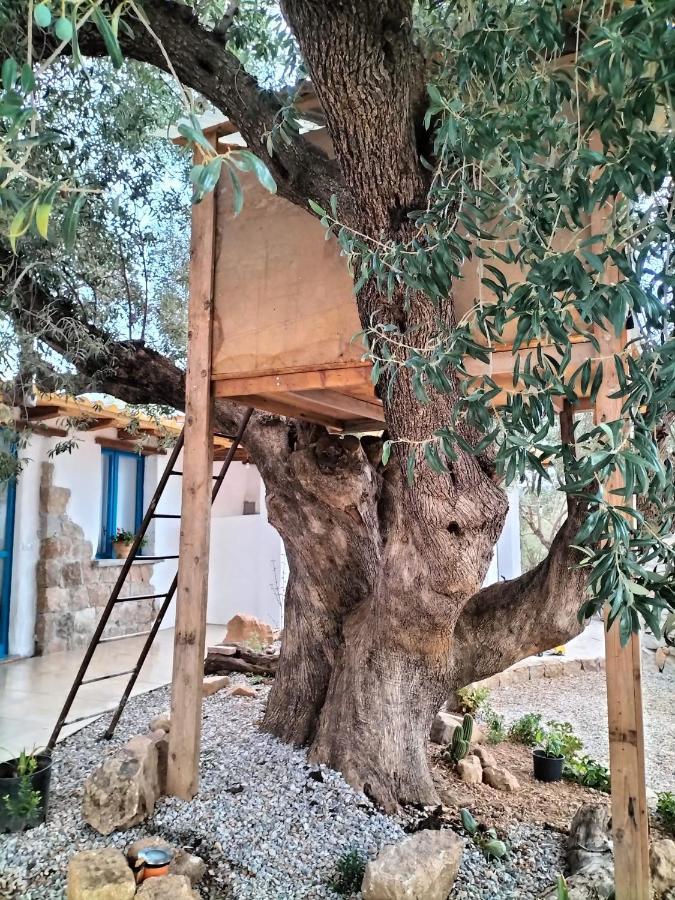 Sole In Ogliastra Acomodação com café da manhã Jerzu Exterior foto
