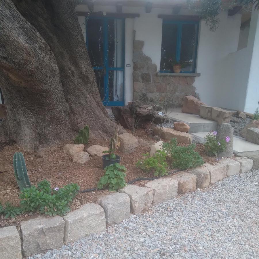 Sole In Ogliastra Acomodação com café da manhã Jerzu Exterior foto