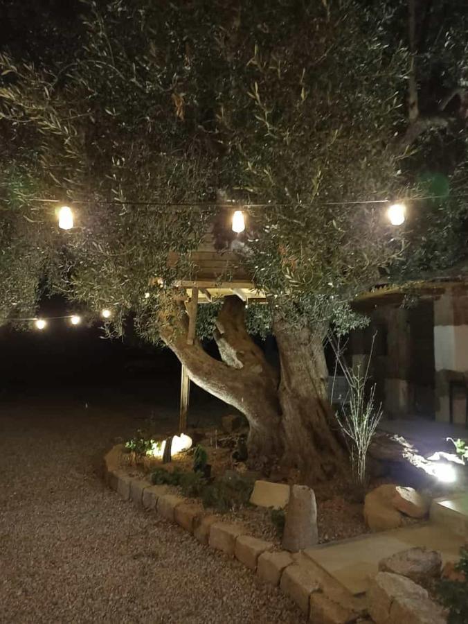 Sole In Ogliastra Acomodação com café da manhã Jerzu Exterior foto